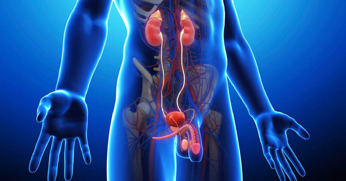 قسم المسالك البولية وأمراض الذكورة في مستشفى الرقي الطبي العام بمكة المكرمة