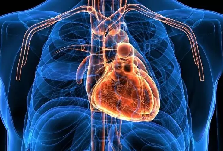 خدمات عيادة القلب في مجمع الرقي الطبي العام